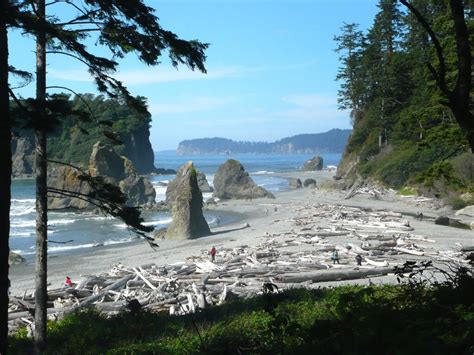 Ruby Beach, WA Tides for Fishing .